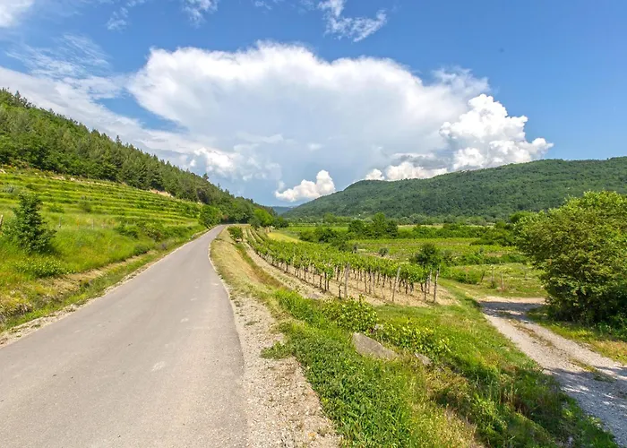 Vikendica Beautiful In Smarje With Kitchen *