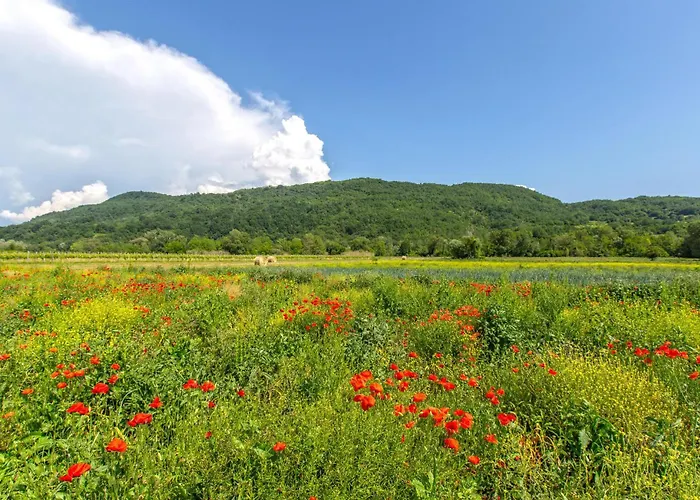 Vikendica Beautiful In Smarje With Kitchen