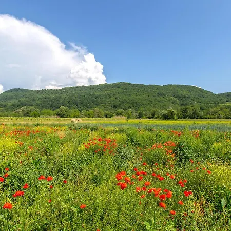 Casa de Férias Beautiful In Smarje With Kitchen